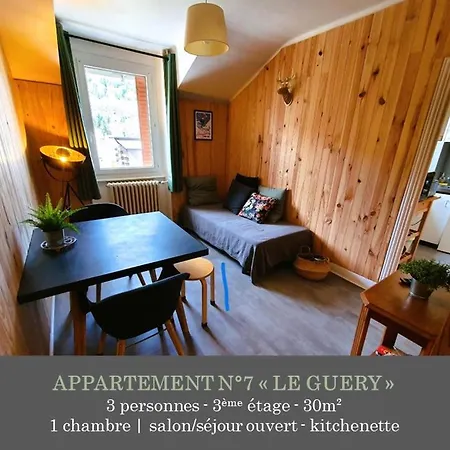 La Maison Des Familles 10 Appartements Le Mont-Dore Exterior foto